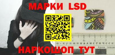 спайс Гагарин