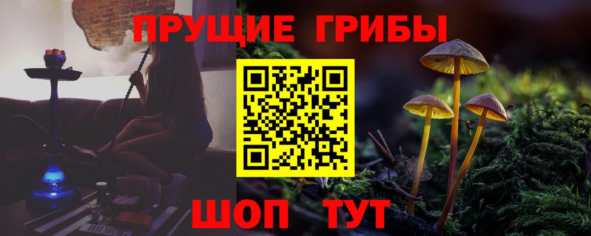 Малгобек  Галлюциногенные грибы мухоморы  сколько стоит  Вход с VPN 